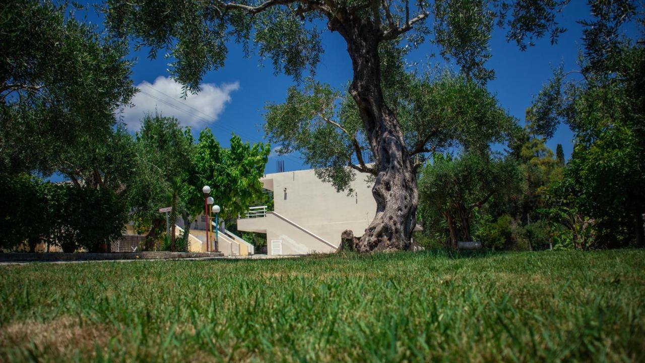Kalypso Studio Resorts Kávos Exterior photo