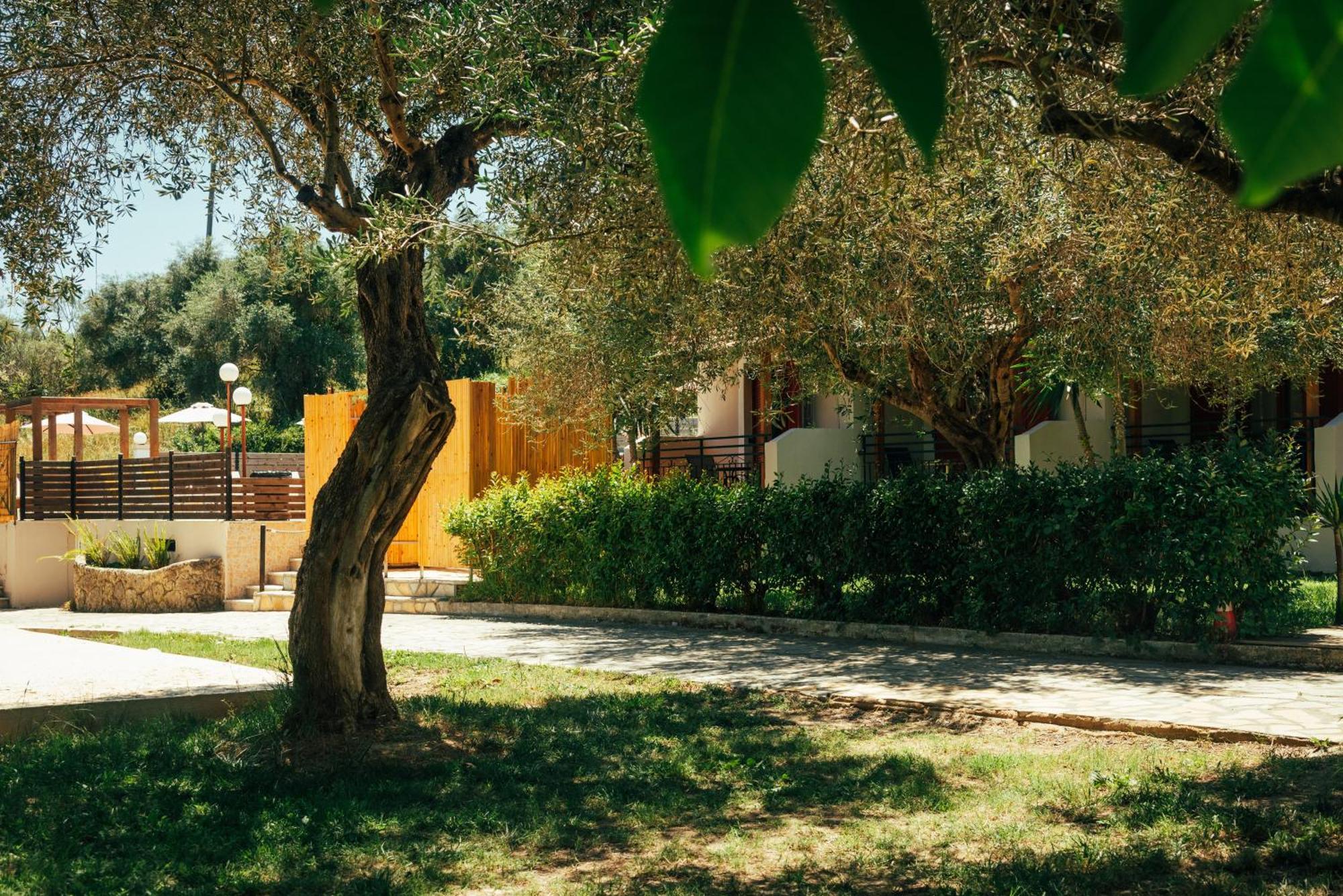 Kalypso Studio Resorts Kávos Exterior photo