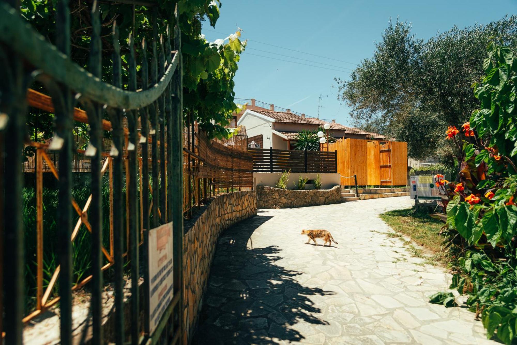 Kalypso Studio Resorts Kávos Exterior photo